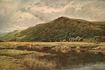 Naturspiegel, 1882, um 1902 von Unbekannt