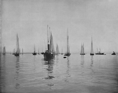 New York Bay, 19. Jahrhundert von Unbekannt