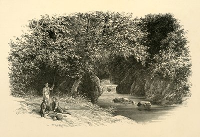 Am Dargle, ca. 1890 von Unbekannt