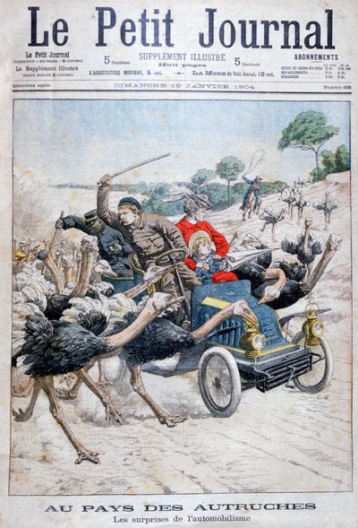 Strauße greifen ein Auto an, Kalifornien, USA, 1904 von Unbekannt