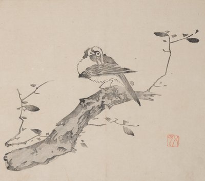 Seite aus Shi Zhu Zhai von Unbekannt