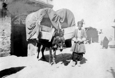Persischer Eseltransport, Bagdad, Irak, 1917-1919 von Unbekannt