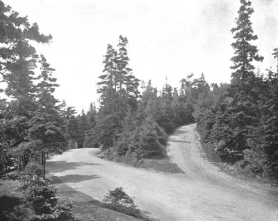 Point Pleasant Park, Halifax, Nova Scotia, Kanada, ca. 1900 von Unbekannt