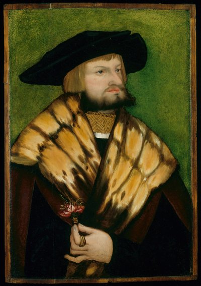 Porträt von Leonhard Fuchs, 1525 von Unbekannt