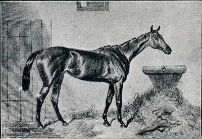 Königin Bertha, 19. Jahrhundert, 1911 von Unbekannt