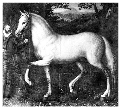 Das Pferd von Königin Elizabeth I. von Unbekannt