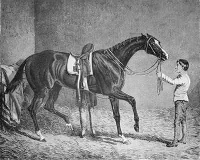 Königin der Trümpfe, 1832-1843, 1911 von Unbekannt