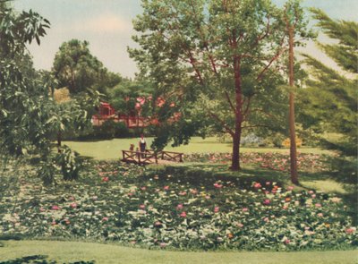Queens Gardens, ca. 1947 von Unbekannt