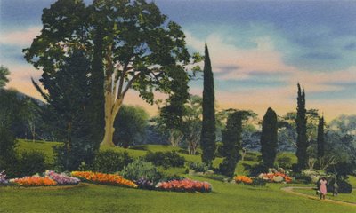 Felsengarten, Trinidad, B.W.I., ca. 1940er von Unbekannt