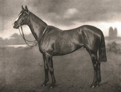 Ross, 1911 von Unbekannt