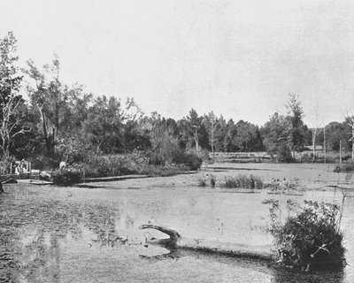 Szene in Mississippi, USA von Unbekannt