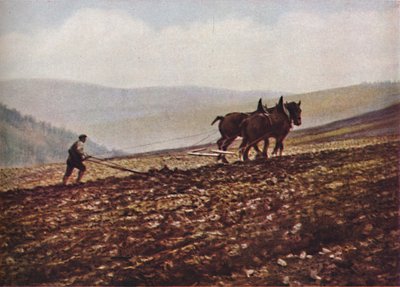 Schottland, ca. 1930er Jahre von Unbekannt