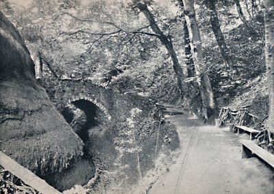 Shanklin - Die Schlucht, 1895 von Unbekannt