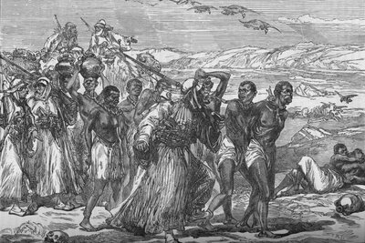 Sklaventruppe überquert die afrikanische Wüste, ca. 1881-85 von Unbekannt