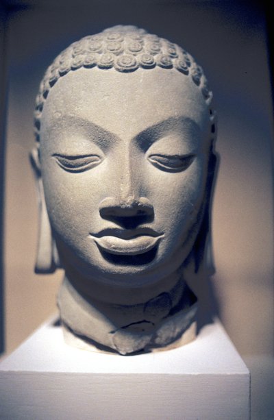 Steinkopf von Buddha, Gupta, Indien, 5. Jahrhundert von Unbekannt
