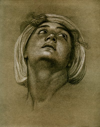 Studie eines Kopfes, 1901 von Unbekannt