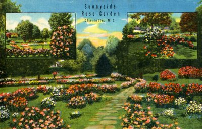 Sunnyside Rosengarten, Charlotte, N.C., 1942 von Unbekannt