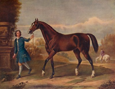 Der Darley Arabian, ca. 1720, 1922 von Unbekannt