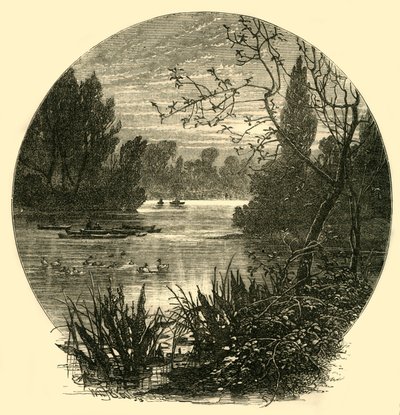 Der See, Battersea Park, ca. 1878 von Unbekannt