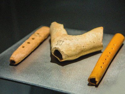 Der Sybyzgy von Unbekannt