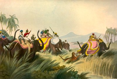 Die Tigerjagd, ca. 1808, 1901 von Unbekannt