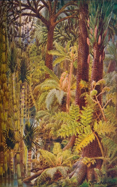 Die gigantische Vegetation des Karbonzeitalters, 1907 von Unbekannt