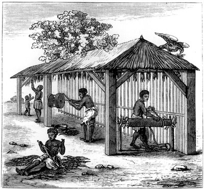 Tabakvorbereitung, 1873 von Unbekannt