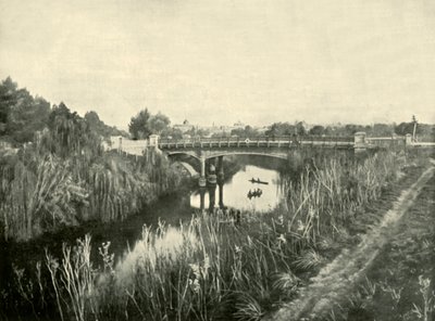 Torrens Lake, Adelaide, 1901 von Unbekannt