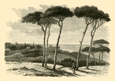 Tusculum, 1890 von Unbekannt