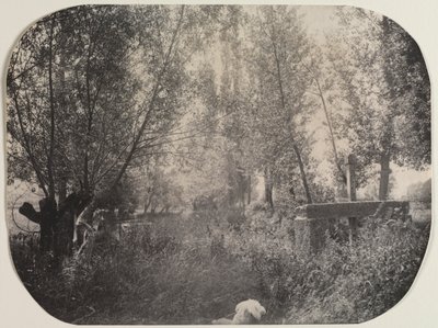 Unbetitelte Landschaft mit Hund, ca. 1910 von Unbekannt