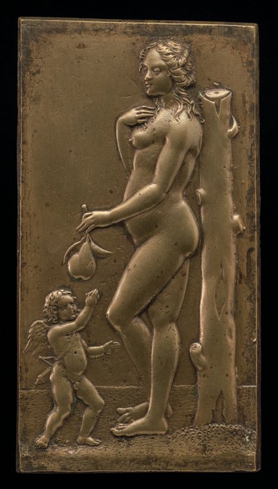 Venus und Amor von Unbekannt