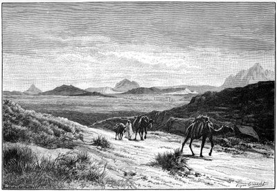 Blick vom Tellat-Pass, Tunesien, ca. 1890 von Unbekannt