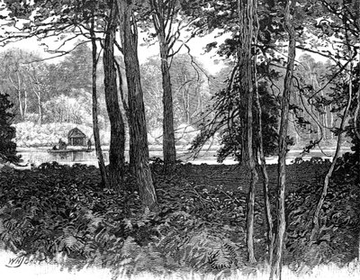 Blick in den Claremont Park, Surrey, 1900 von Unbekannt