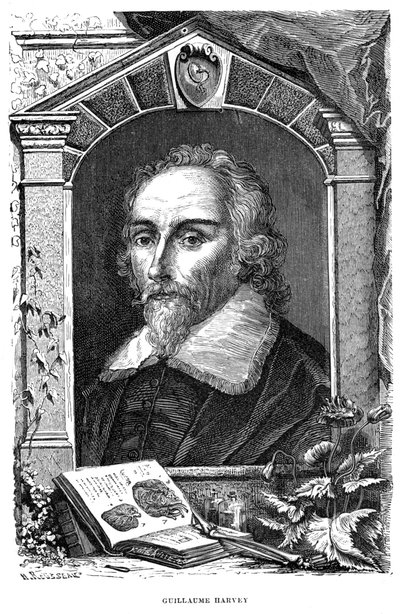 William Harvey, englischer Arzt von Unbekannt
