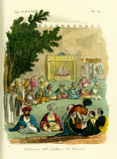 Audienz beim Sultan von Bornu von Unbekannt