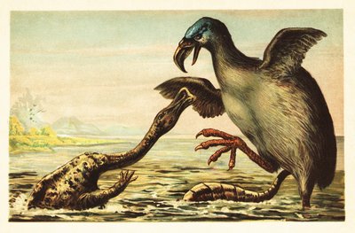 Brontornis kämpft gegen einen Hadrosaurus. 1908 (Lithografie) von Unbekannter Künstler