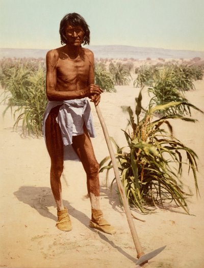 Hopi-Mann mit einer Hacke, Arizona von Nicolas Liez