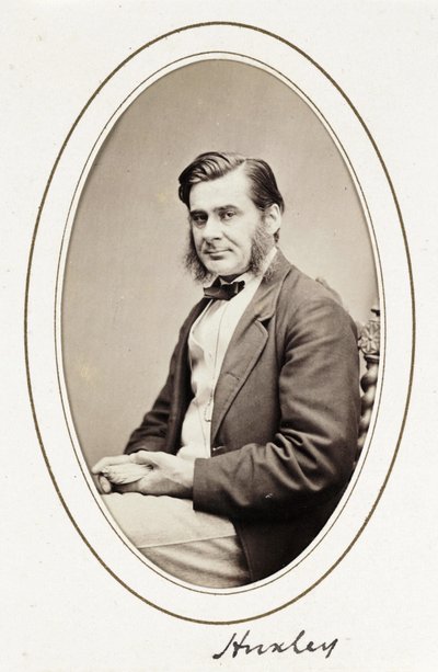 Huxley, ca. 1865 von Unbekannt