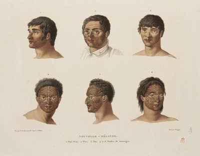 Maori-Tätowierungen von Unbekannt