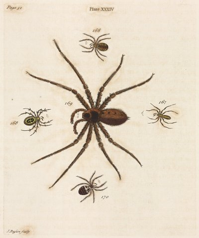 Mikroskopie von Unbekannt