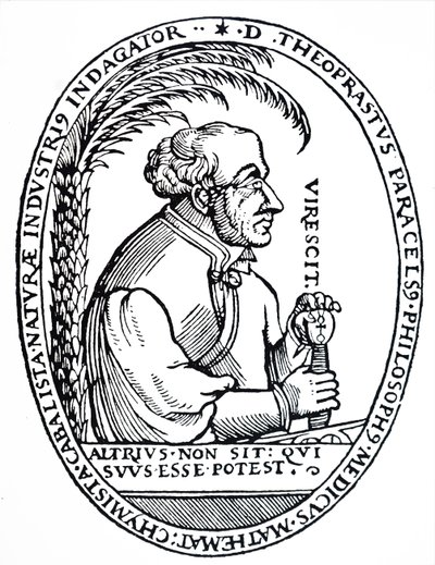 Paracelsus von Unbekannt