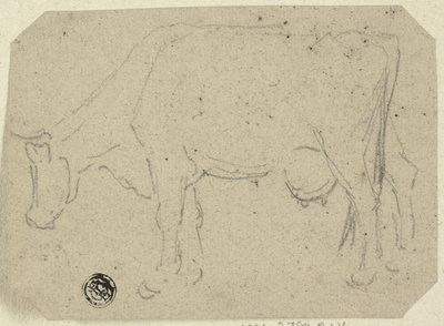 Kuh beim Grasen (recto); Kopf eines Tieres (verso) von Unknown