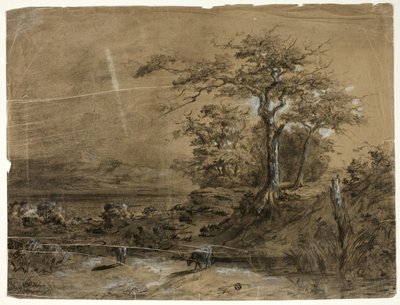Waldlandschaft mit Kühen im Vordergrund von Unknown