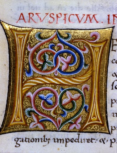 Alphabet: miniaturisierter Buchstabe H von Unknown artist