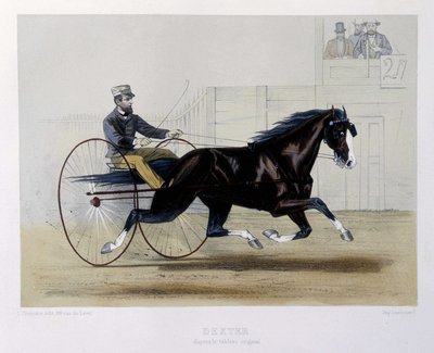 Dexter Traber - in „The Centaur“ von Unknown artist
