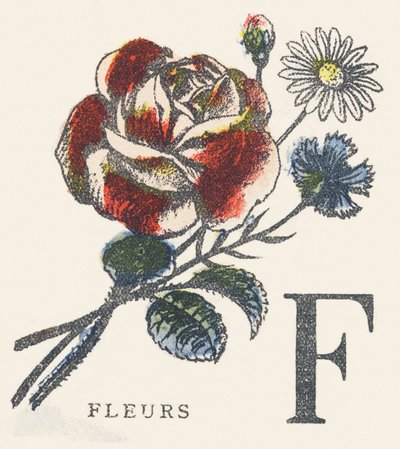 F: Blumen von Unknown artist
