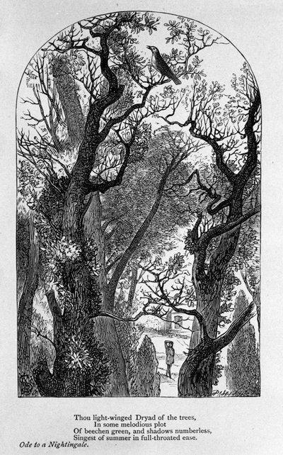John Keats: Ode an eine Nachtigall von Unknown artist