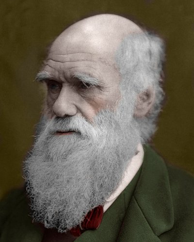Porträt von Charles Darwin von Unknown artist
