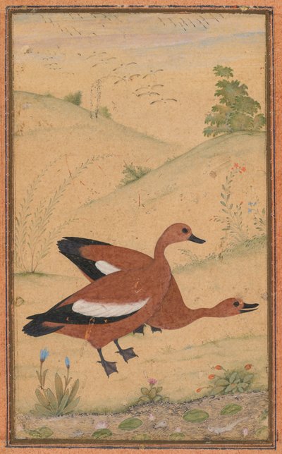 Ein Paar Brahminenenten von Unknown artist