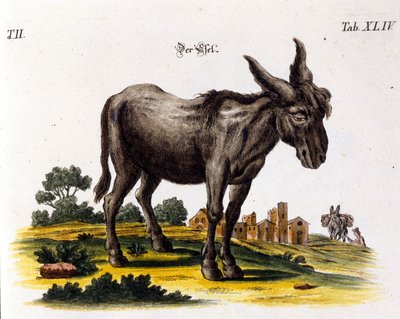 Ankey. Darstellung aus dem 18. Jahrhundert. von Unknown artist